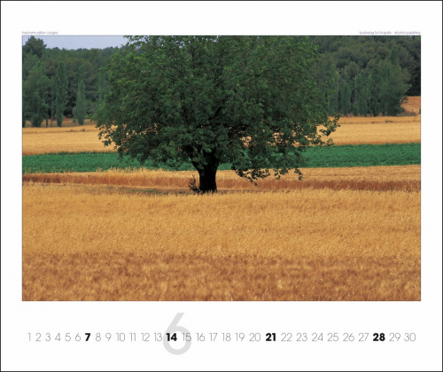 PROVENCE KALENDER